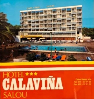 Hotel y Apartamentos Calaviña